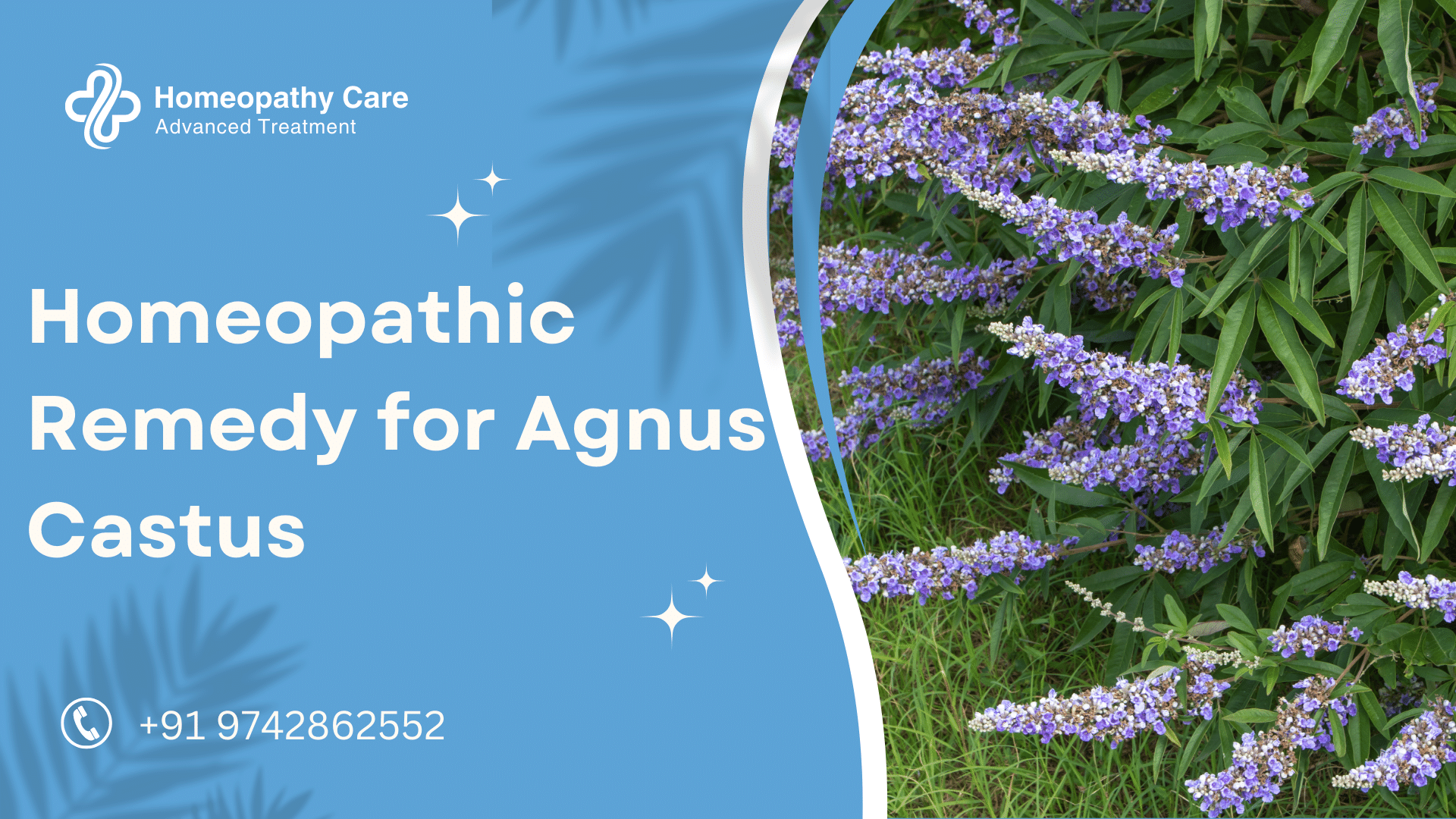 Homeopathic Remedy for Agnus Castus