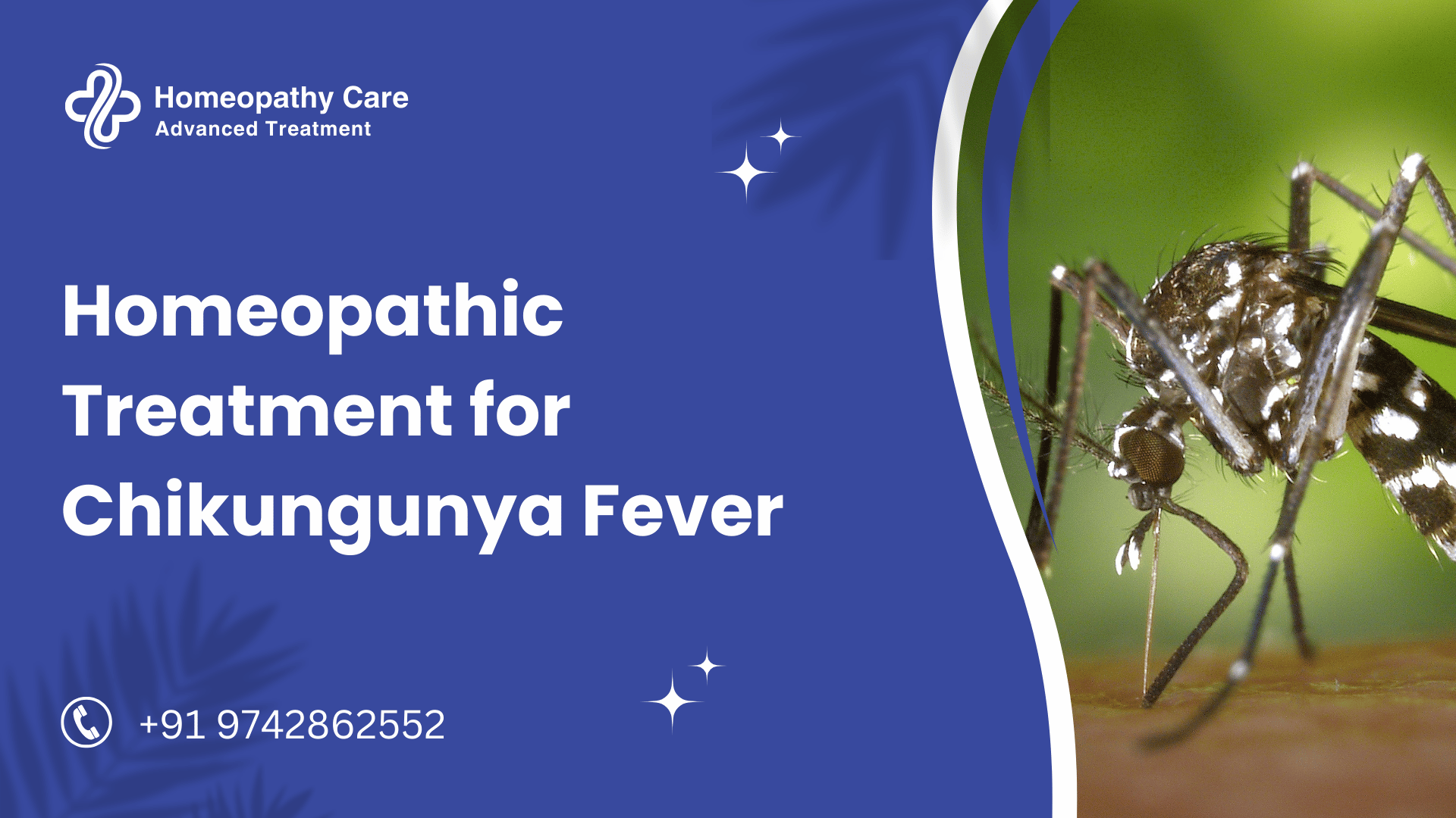 Homeopathic Treatment for Chikungunya Fever